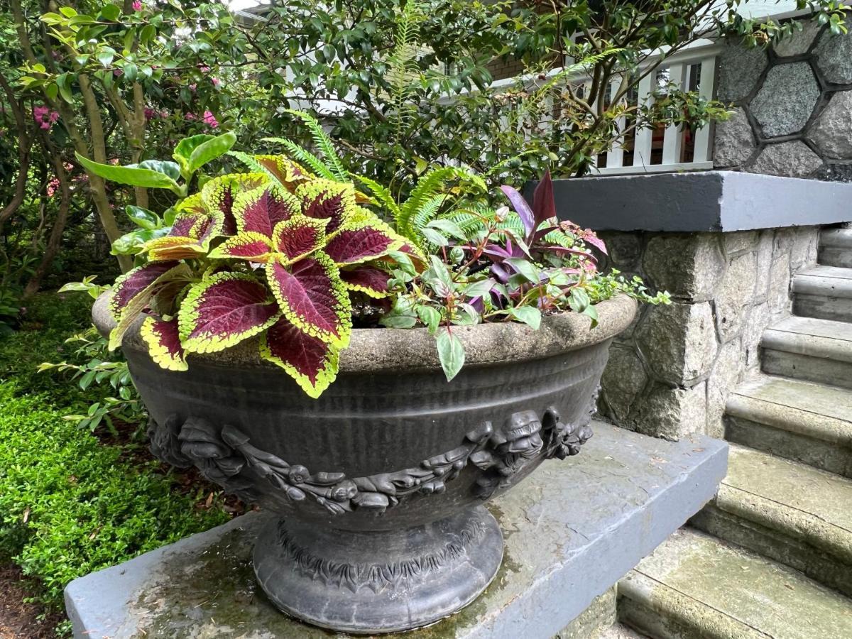 Aristocrathomestay Vancouver Buitenkant foto