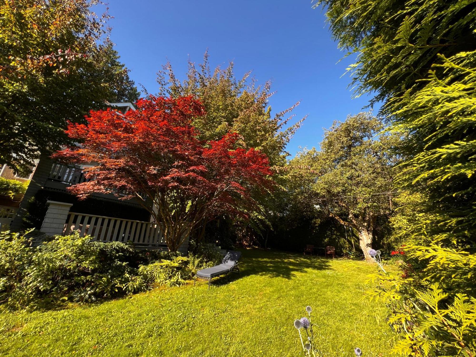 Aristocrathomestay Vancouver Buitenkant foto